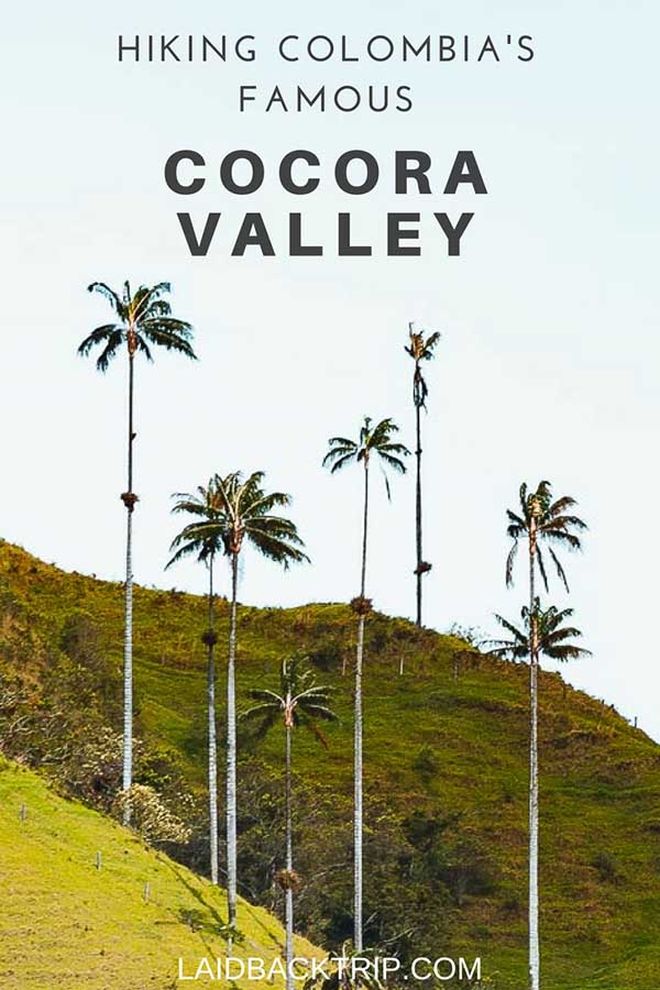 Hiking Guide to Cocora Valley, Colombia