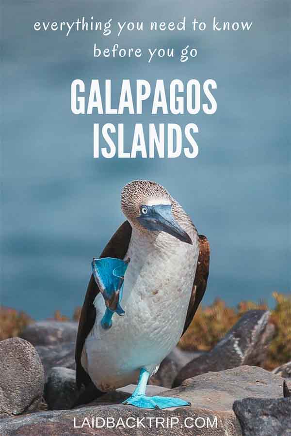 Galapagos Islands Tours