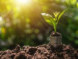 When to invest in venture capital trusts