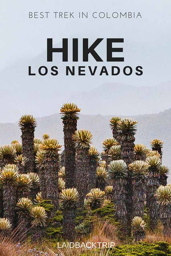 Hiking in Los Nevados, Colombia