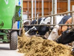 A farming stock beefing up its profits