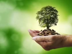 How to make the most of your pension savings
