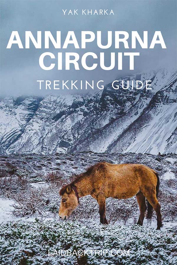 Annapurna Circuit Trek Guide