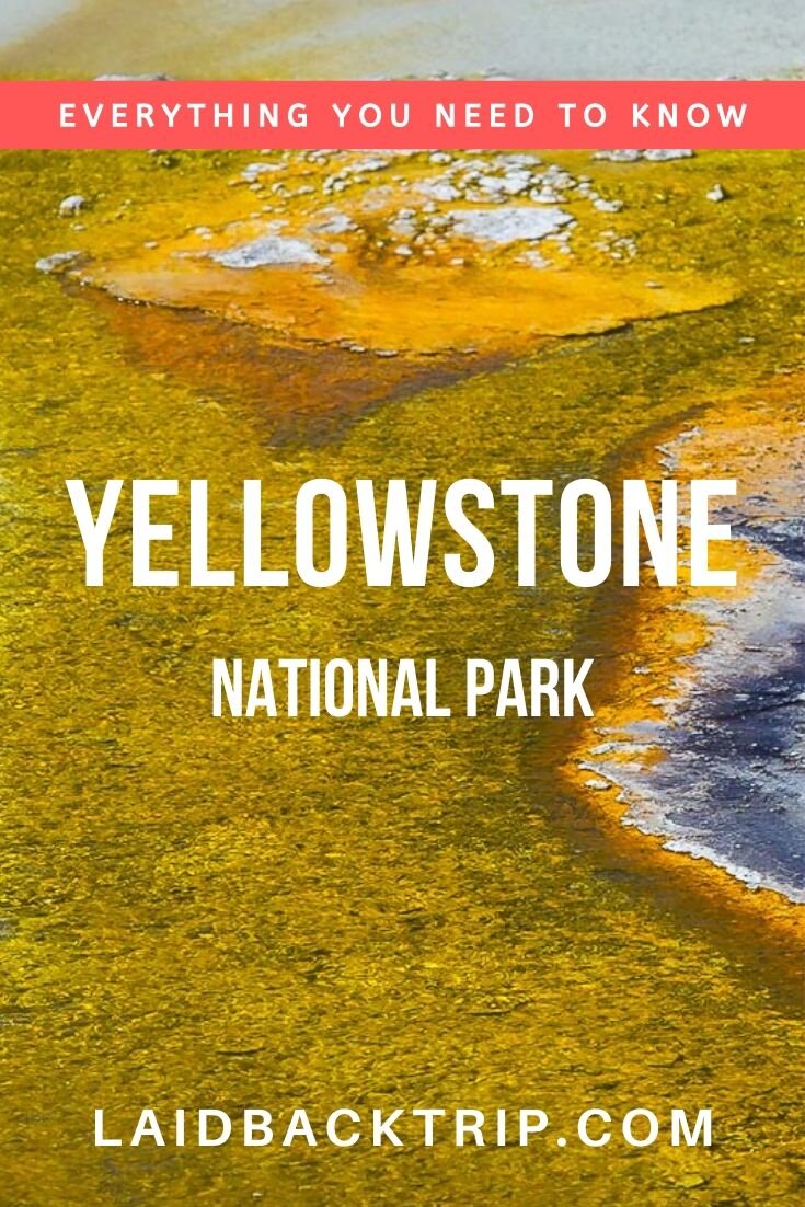 Yellowstone National Park, USA